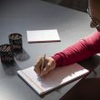 Rhodia scRipt Ball Pen / SILVER