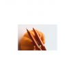 Rhodia scRipt Mechanical Pencil / ORANGE